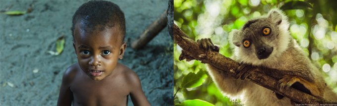 Circuit Est - Andasibe et Ankanin'ny Nofy - Jour 5 - Ankanin'ny Nofy - Jour 5 - Ankanin'ny Nofy