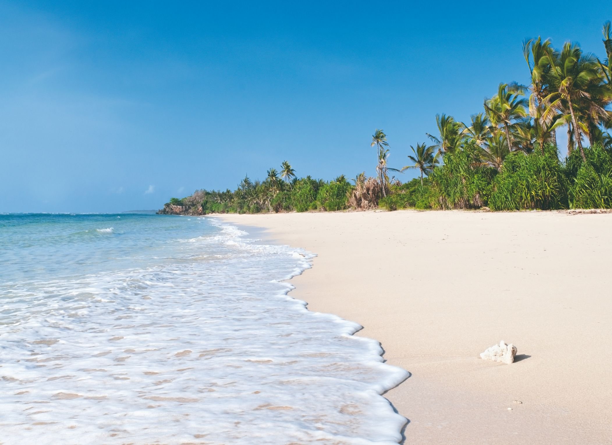 Het beste van Kenia: een huwelijksreis in de wilde natuur - Diani-strand - Plage Diani