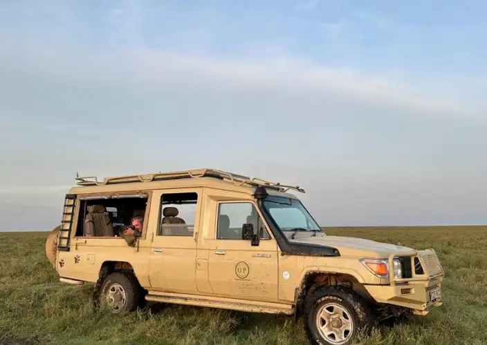 Safari de groupe de 5 jours Echoes of Serengeti de gamme intermédiaire - Serengeti vers la zone de conservation du Ngorongoro - Serengeti vers la zone de conservation du Ngorongoro - Photo du jour