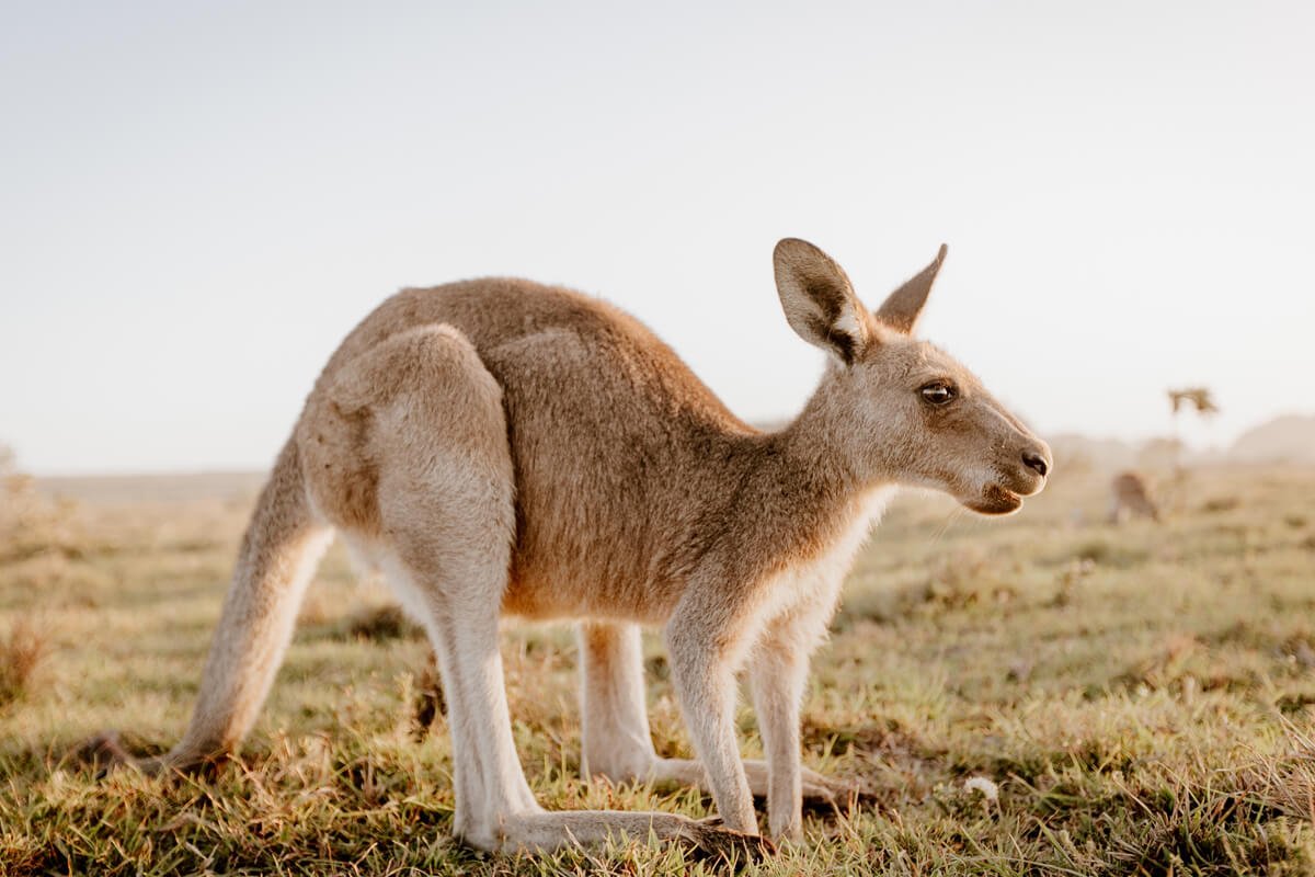 Campervan Hire - The Magical NSW South Coast - Mighty Mollymook - Photo of the day