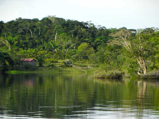 5-day stay in the Amazon, in the magnificent Cuyabeno reserve.