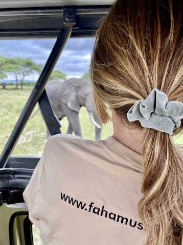 7 Days Serengeti, Ngorongoro, Tarangire and Manyara National Park