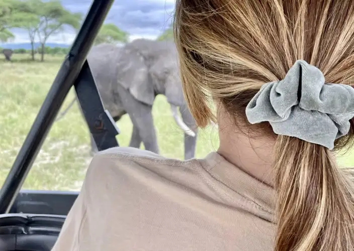 7 Days Serengeti, Ngorongoro, Tarangire and Manyara National Park - Arrival Kilimanjaro International Airport (KIA) - Photo of the day