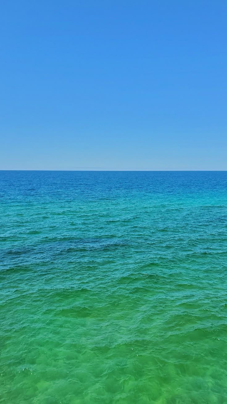 14 Tage Safari & Sand: Die Tansania Flitterwochen-Flucht - null - Tagesfoto