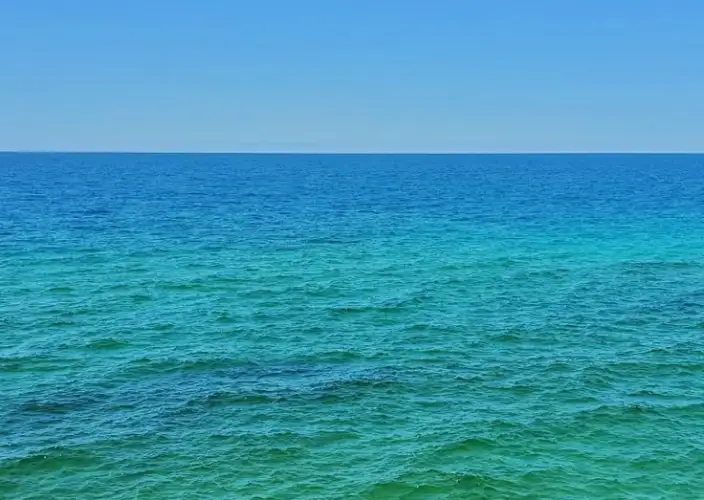 14 Días de Safari y Arena: La Escapada de Luna de Miel en Tanzania - Plenitud en la playa de Zanzíbar y actividades opcionales con costo extra - Foto del día