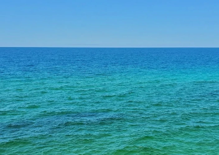 14 Dias de Safari & Praia: A Fuga de Lua de Mel na Tanzânia - Praia de Zanzibar e Atividades Opcionais com Custo Extra - Foto do dia