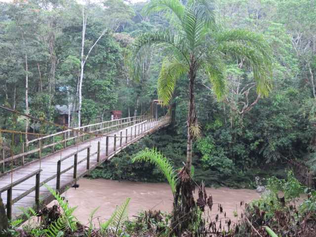 Découverte des racines colombiennes - 21 jours