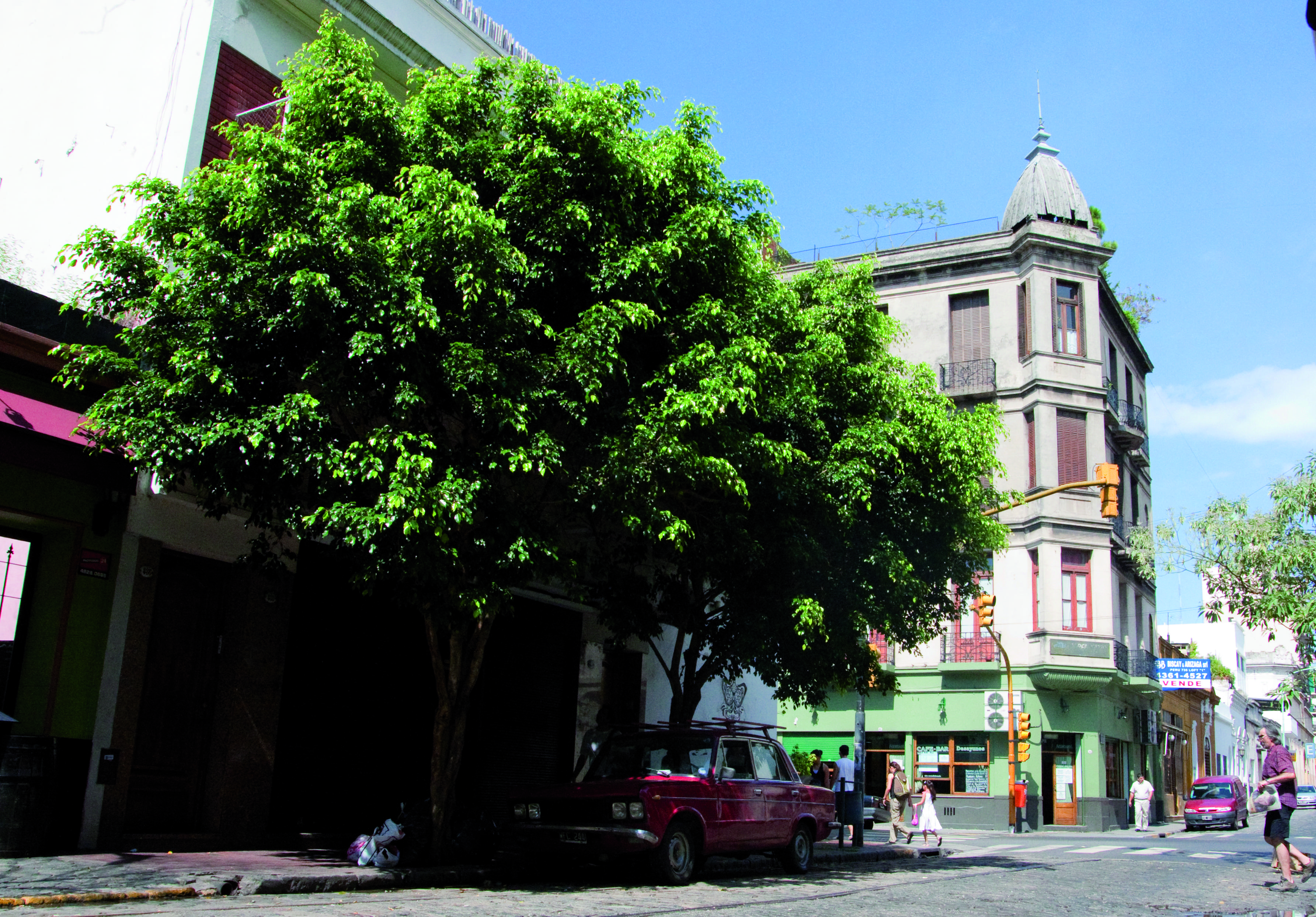 De schoonheid van Noord-Argentinië - Aankomst in Buenos Aires - Arrivée à Buenos Aires