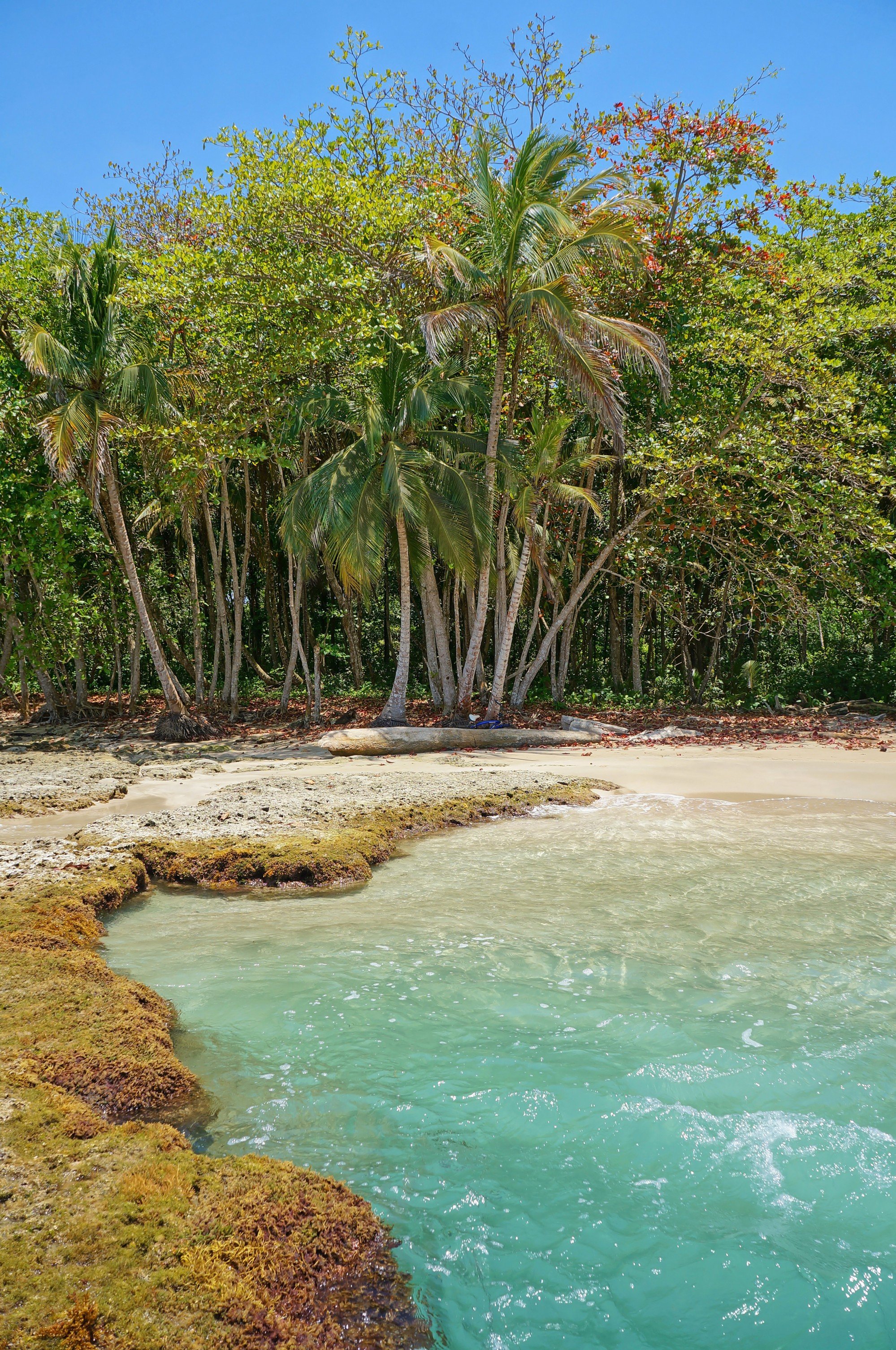Descubrimiento del verdadero Costa Rica, orientado hacia la tierra y la agricultura. - Puerto Viejo de Talamanca y Sarapiquí - Puerto Viejo de Talamanca et Sarapiqui