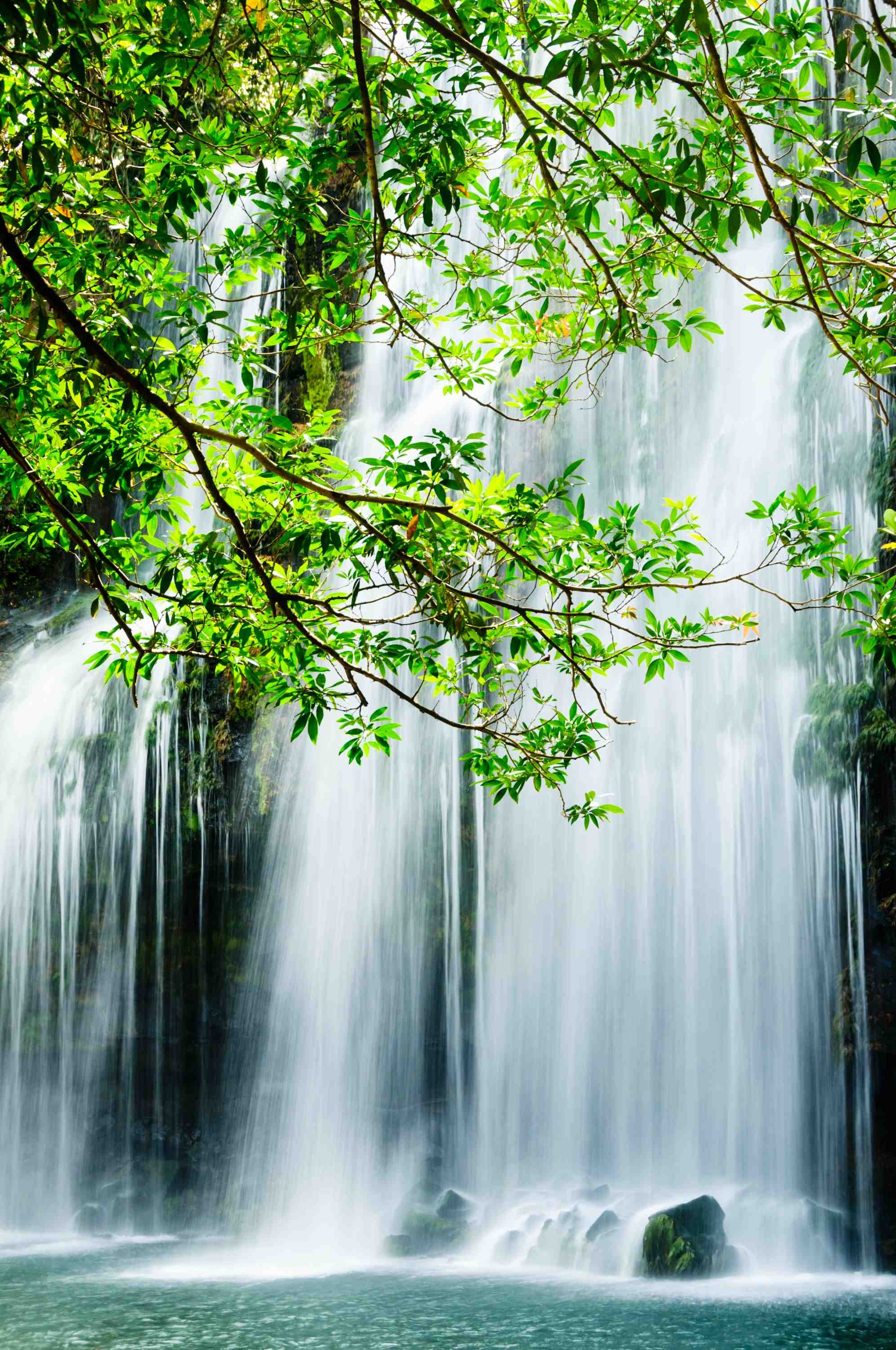 Merveilles naturelles du Costa Rica - Drake - Corcovado - Drake - Corcovado