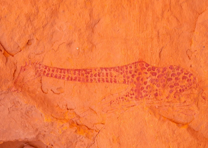 Immersion en Tadrart Rouge - En voiture tout-terrain, en route pour la Tadrart. - Photo du jour