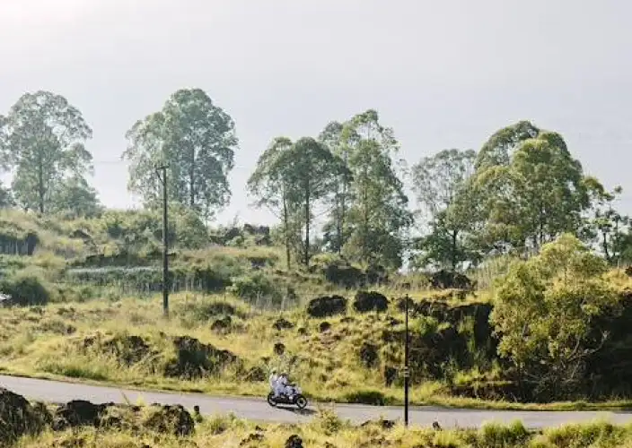 Balinese cultuur en ontspanning op Nusa Lembongan – 16 dagen / 15 nachten - Onderdompeling in het hart van het landelijke Bali - Foto van de dag