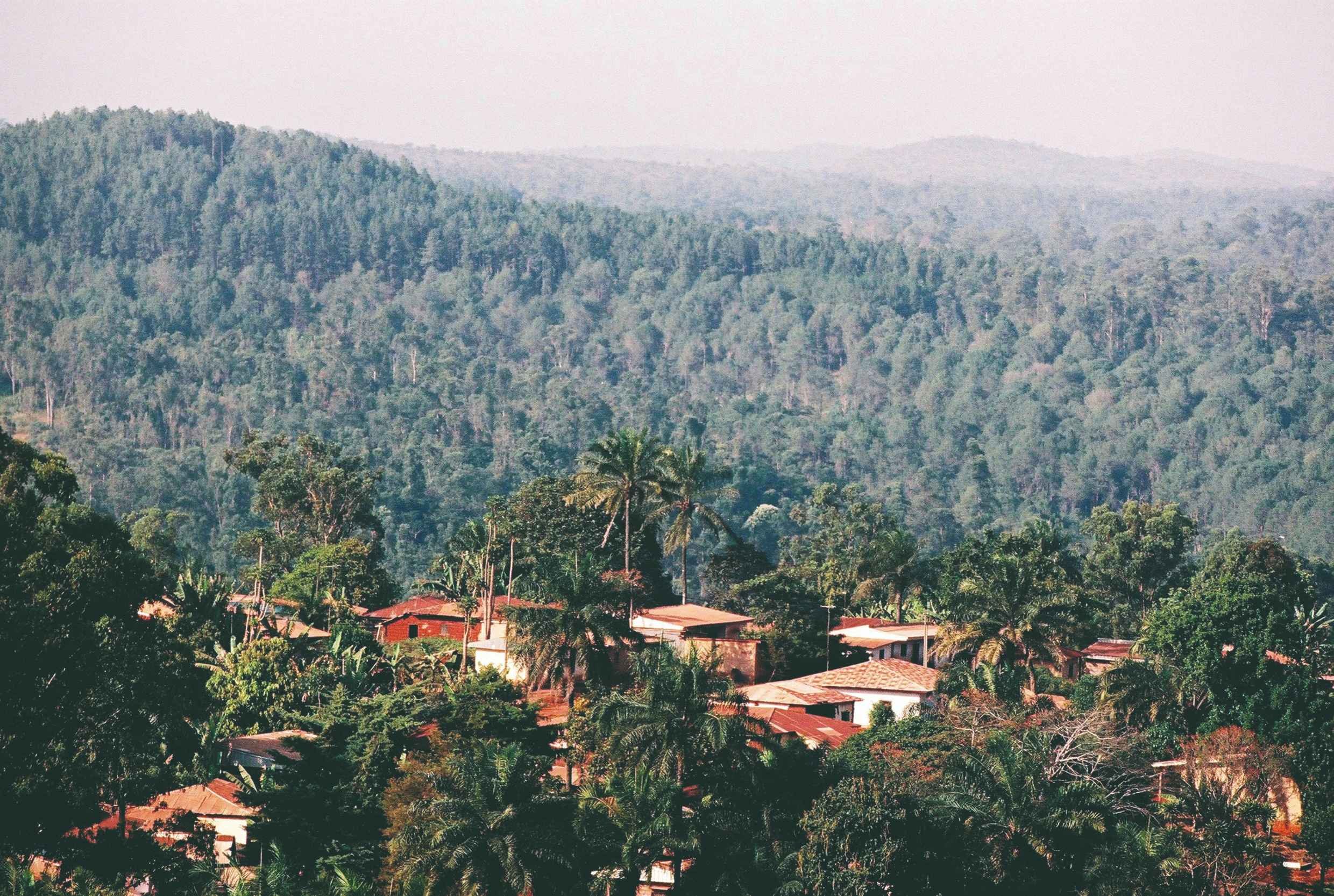 Route de l&#39;Ouest - Les environs de Dschang - Les environs de Dschang