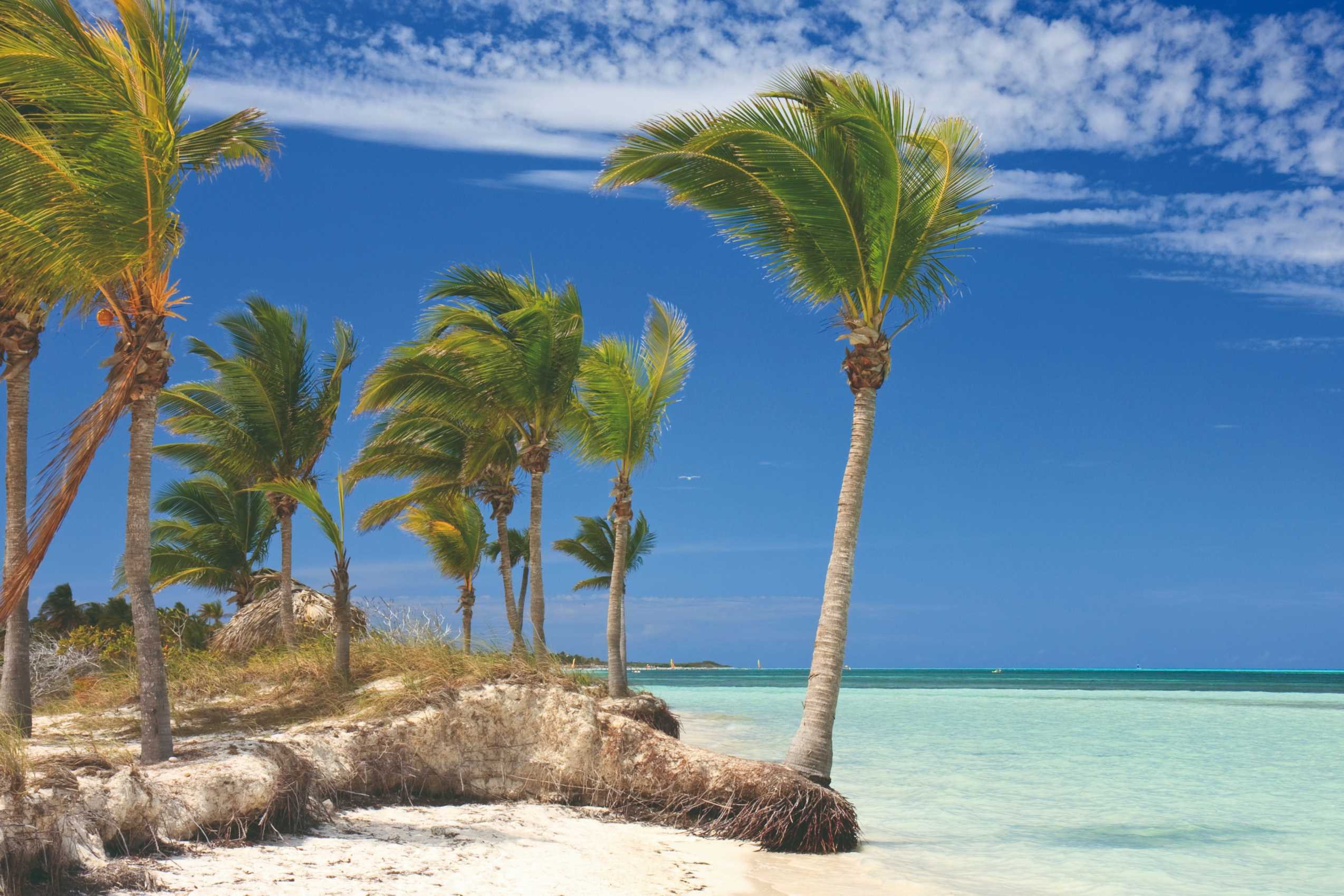 Hi Cubans! - The paradise beaches of the Jardines del Rey - Les plages paradisiaques des Jardines del Rey