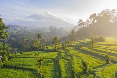 Voyage spirituel à Bali : yoga, purification et reconnexion au cœur de l’île des Dieux. - Ancêtres et calligraphie sacrée - Photo du jour