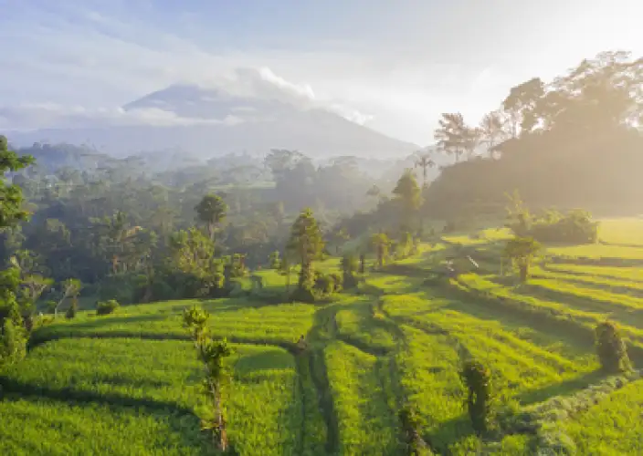 Voyage spirituel à Bali : yoga, purification et reconnexion au cœur de l’île des Dieux. - Ancêtres et calligraphie sacrée - Photo du jour
