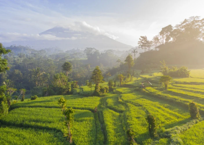 Voyage spirituel à Bali : yoga, purification et reconnexion au cœur de l’île des Dieux. - Ancêtres et calligraphie sacrée - Photo du jour