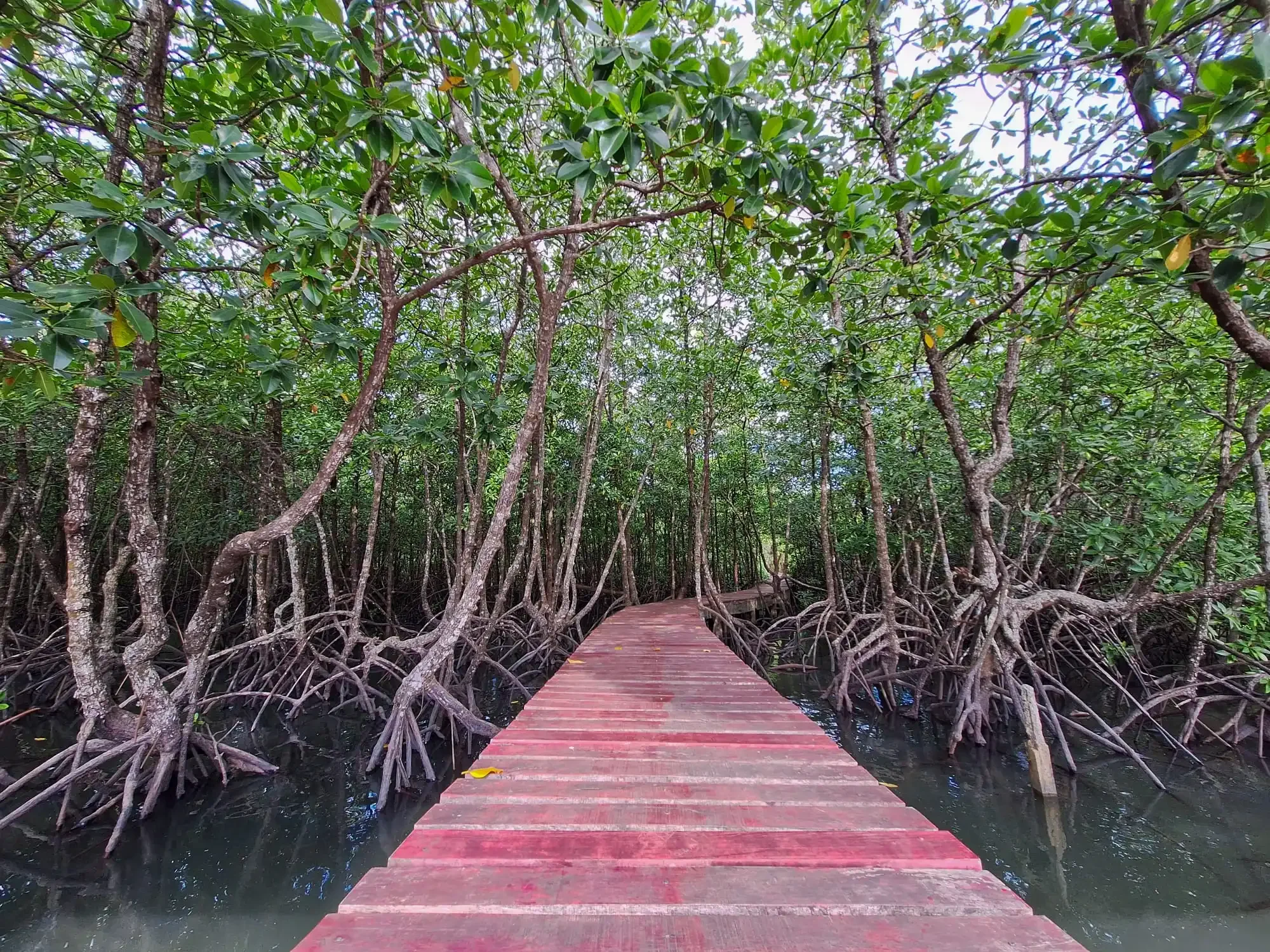 Thailand in 3B: Bangkok, beaches and bungalows - Exclusive immersion in Koh Chang - Photo of the day