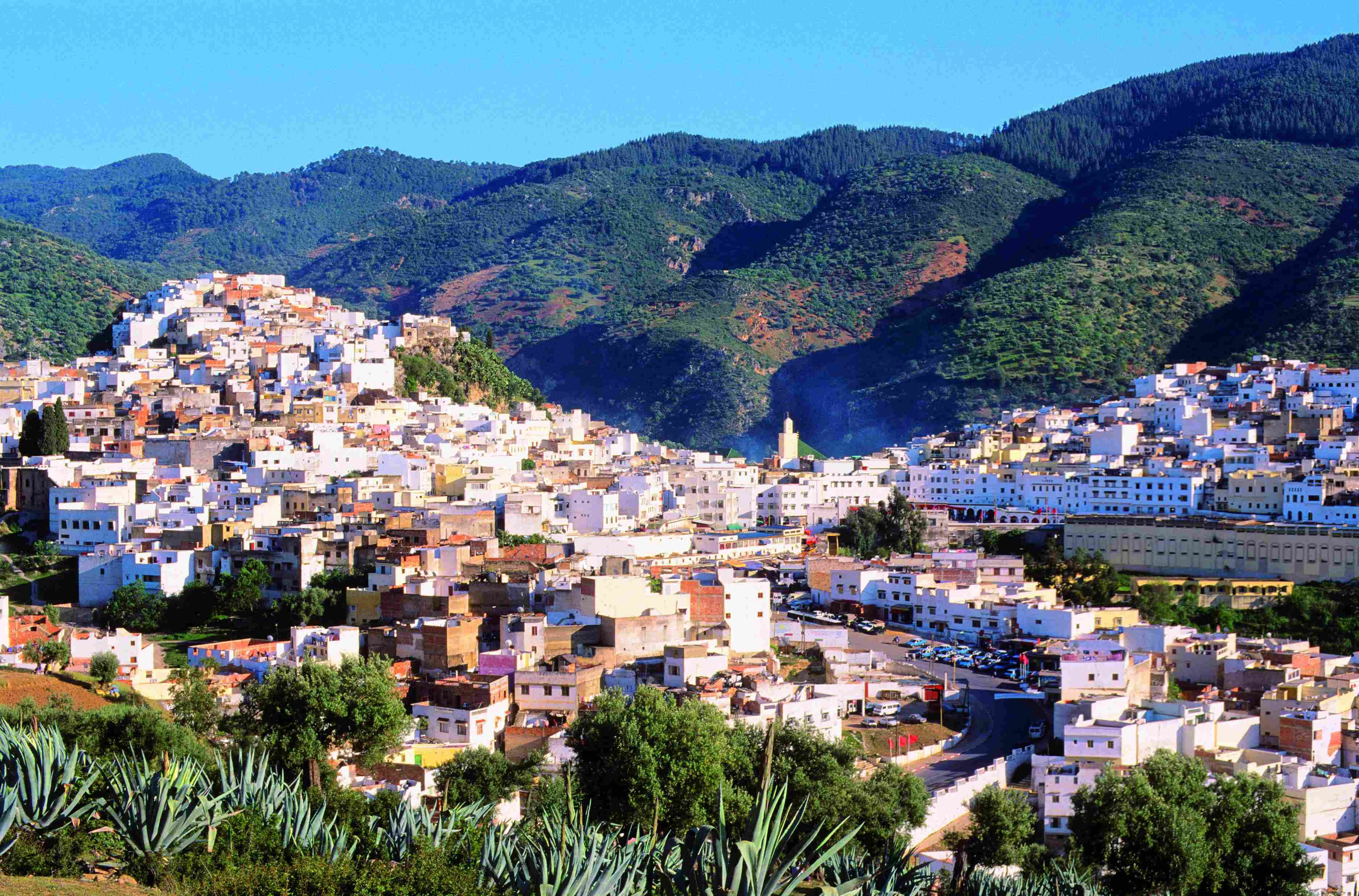 Keizerlijke steden en magie van de woestijn - Meknès - Fès - Meknès - Fès