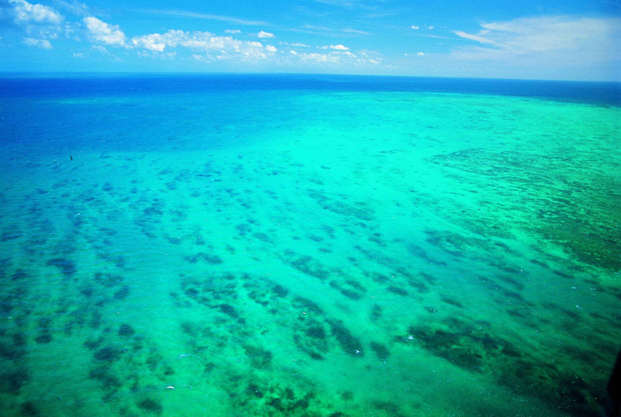 Lune de miel en Terre Australe - L'Île d'Orphée - L'Île d'Orphée