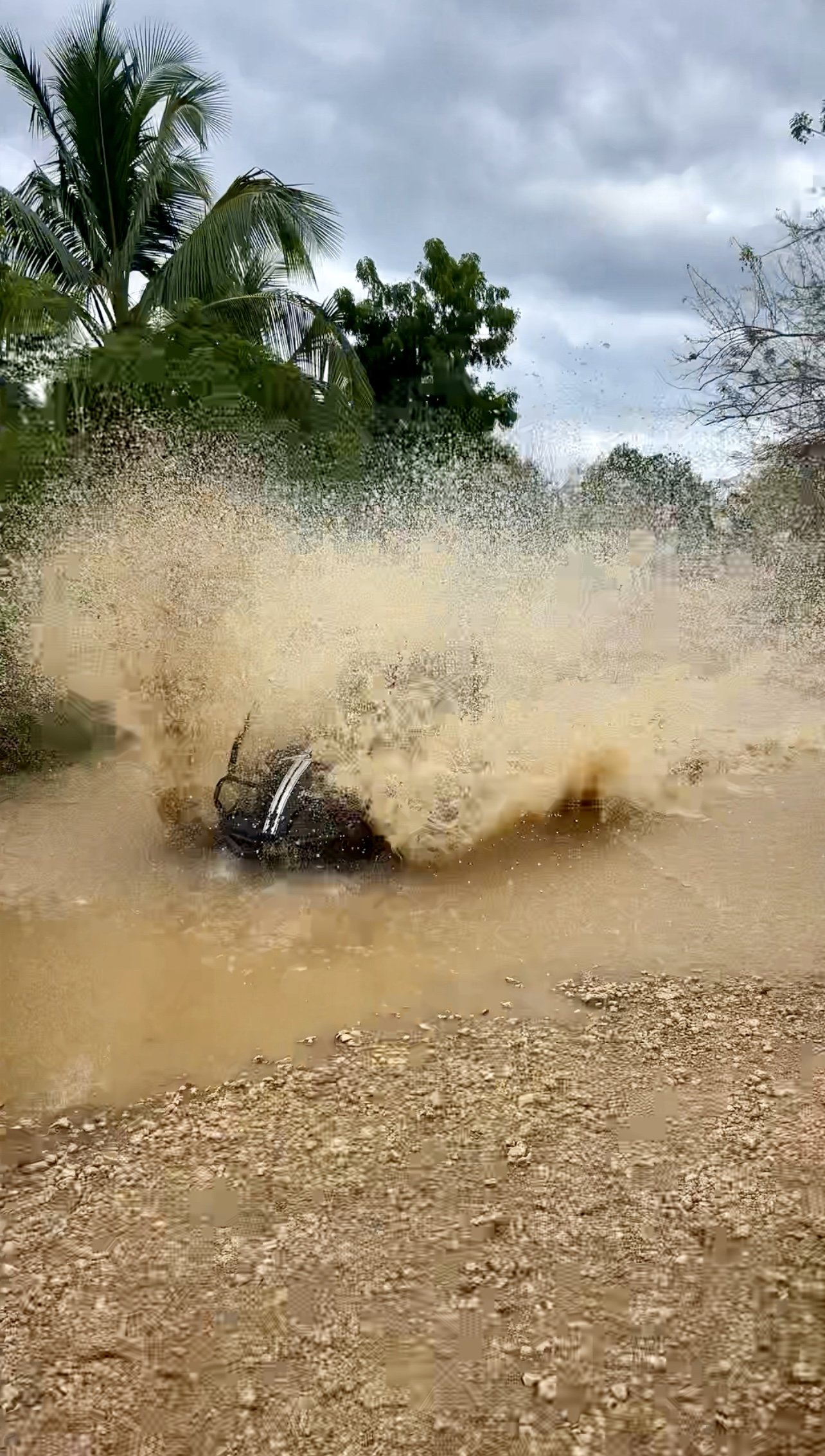 8 giorni a Bayahibe nella Repubblica Dominicana - null - Foto del giorno