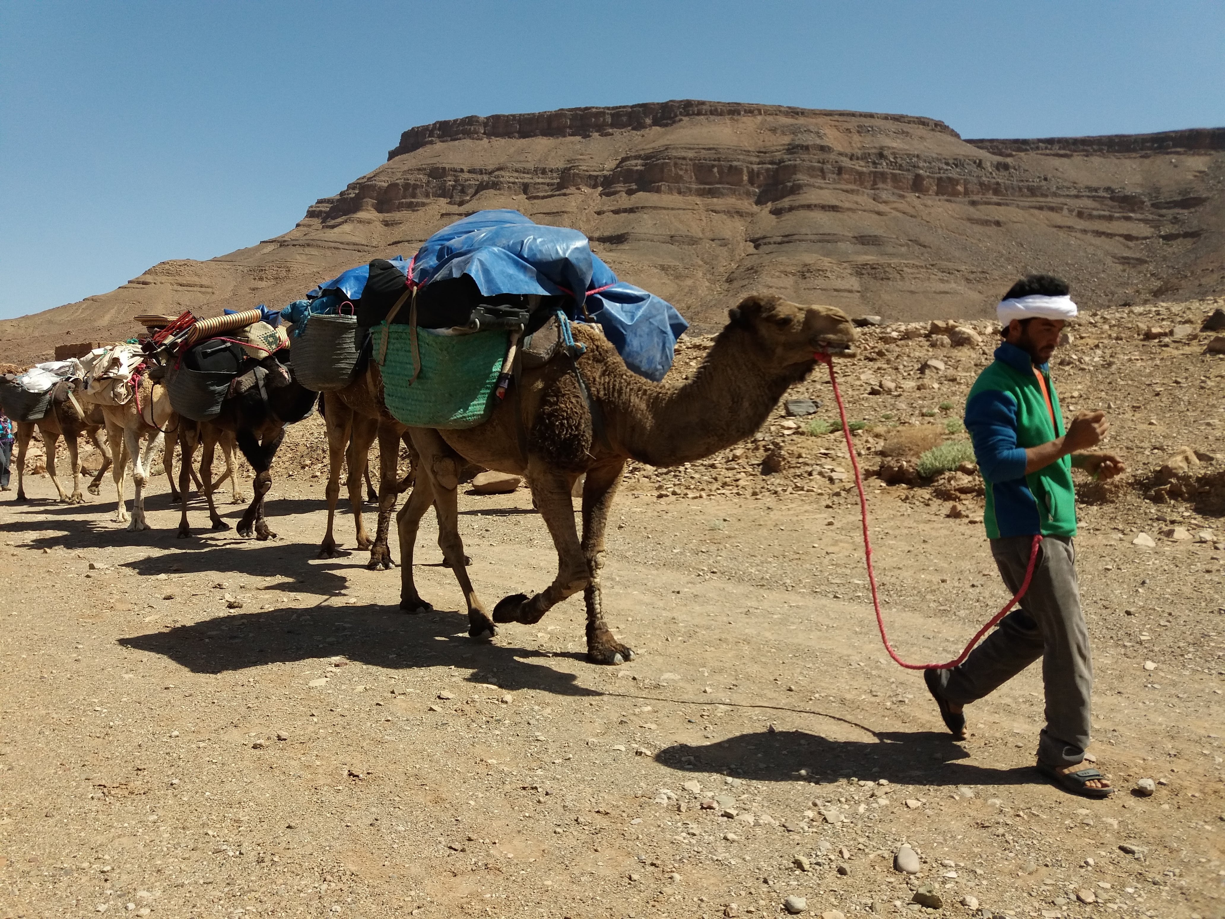 Trek et randonnée dans le désert – Vallée du Drâa – 5 jours - Dunes Insrate - Palmerie Sidi Salh - Dunes Larjam - Photo du jour