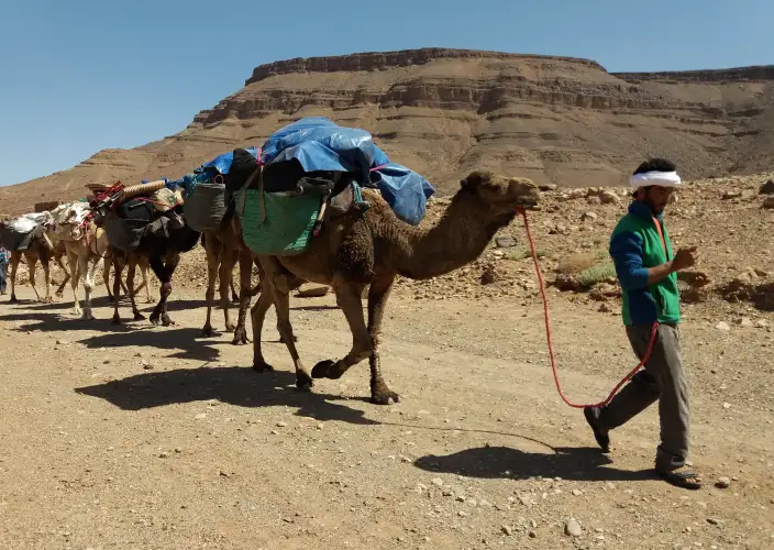 Trek et randonnée dans le désert – Vallée du Drâa – 5 jours - Dunes Insrate - Palmerie Sidi Salh - Dunes Larjam - Photo du jour