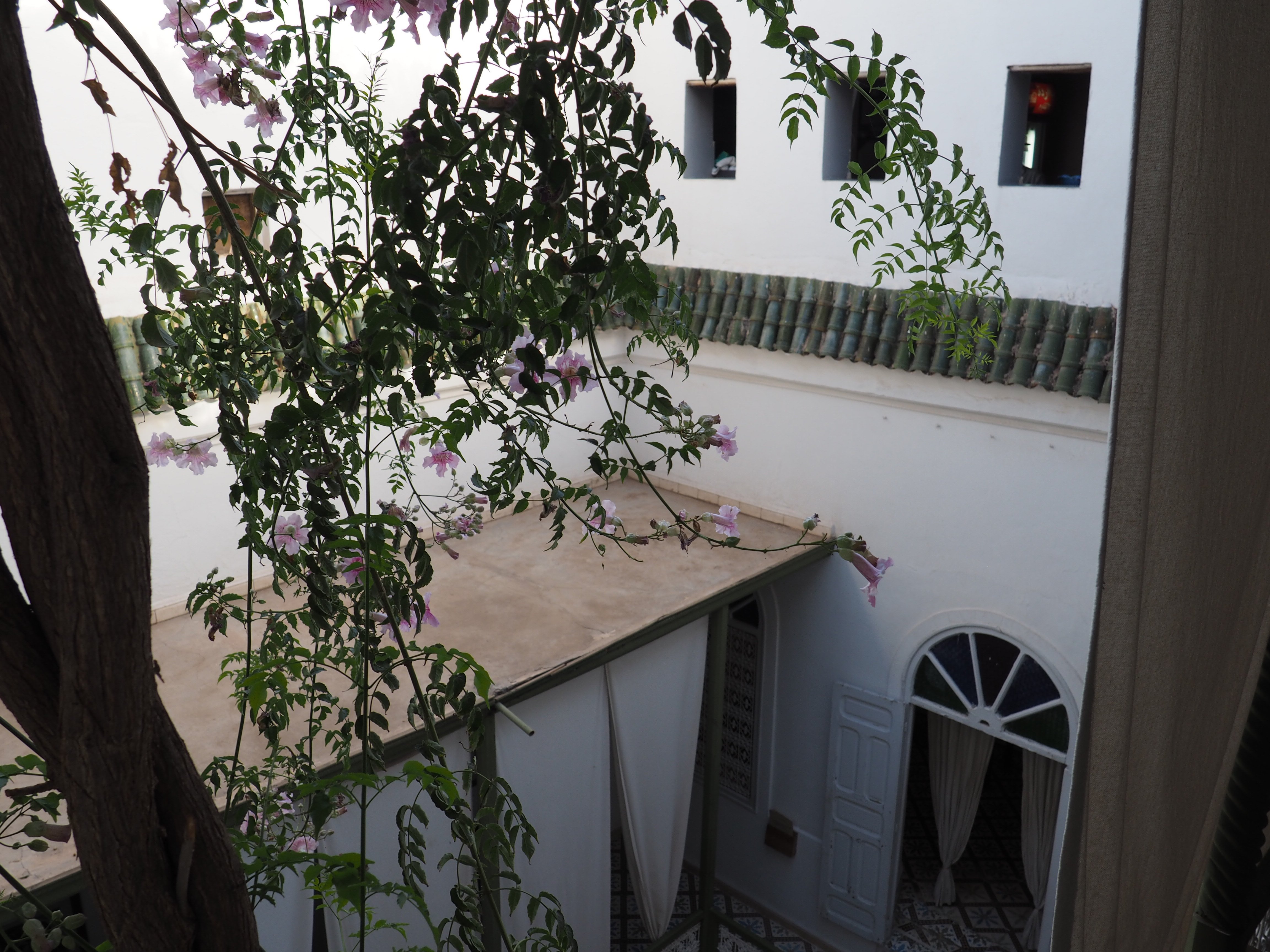 Große Marokko-Rundreise in 10 Tagen - Fès Tour - Tagesfoto