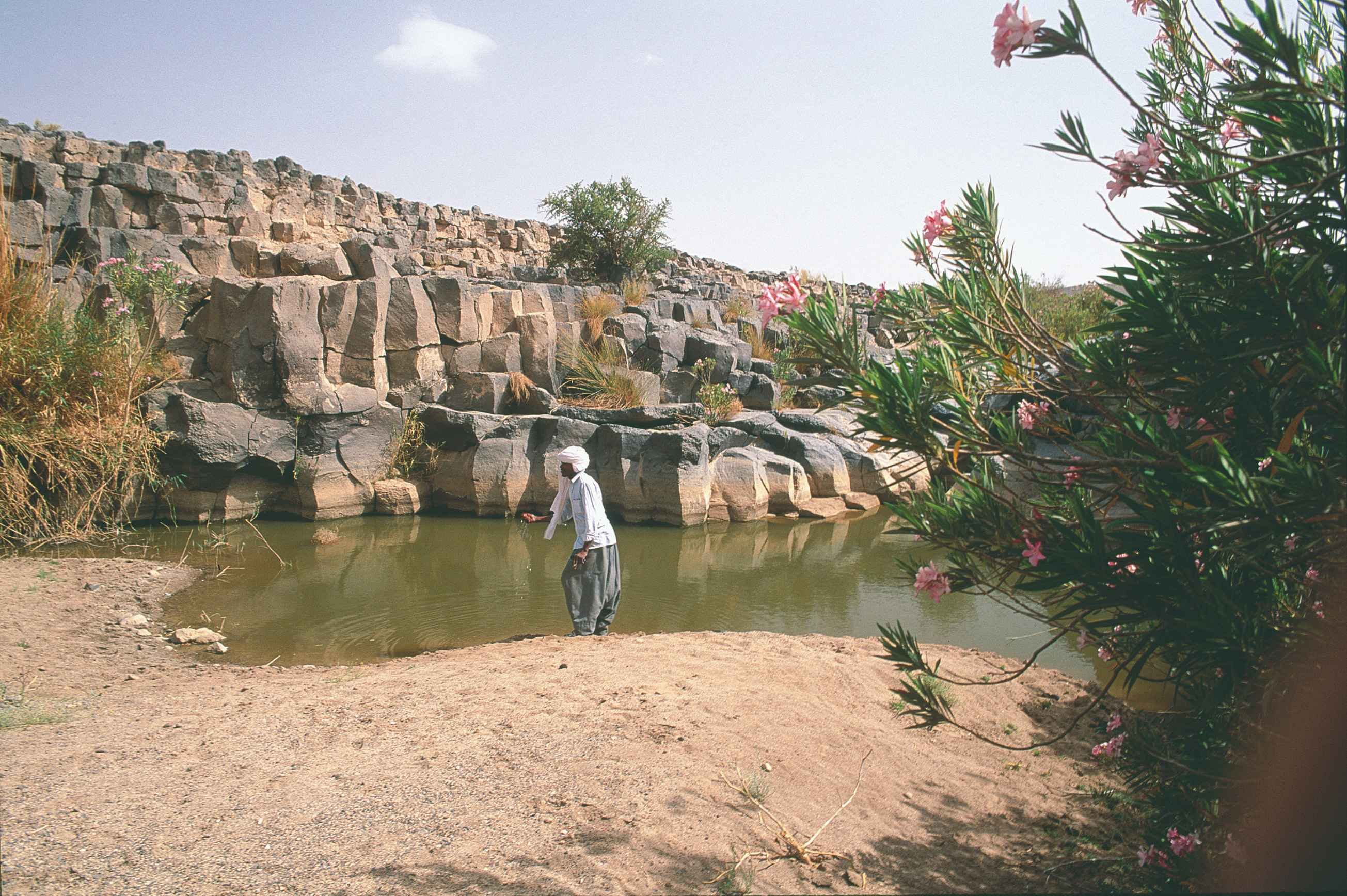 Circuit of the Oases of Algeria - Timimoun - El Goléa - Timimoun - El Golea