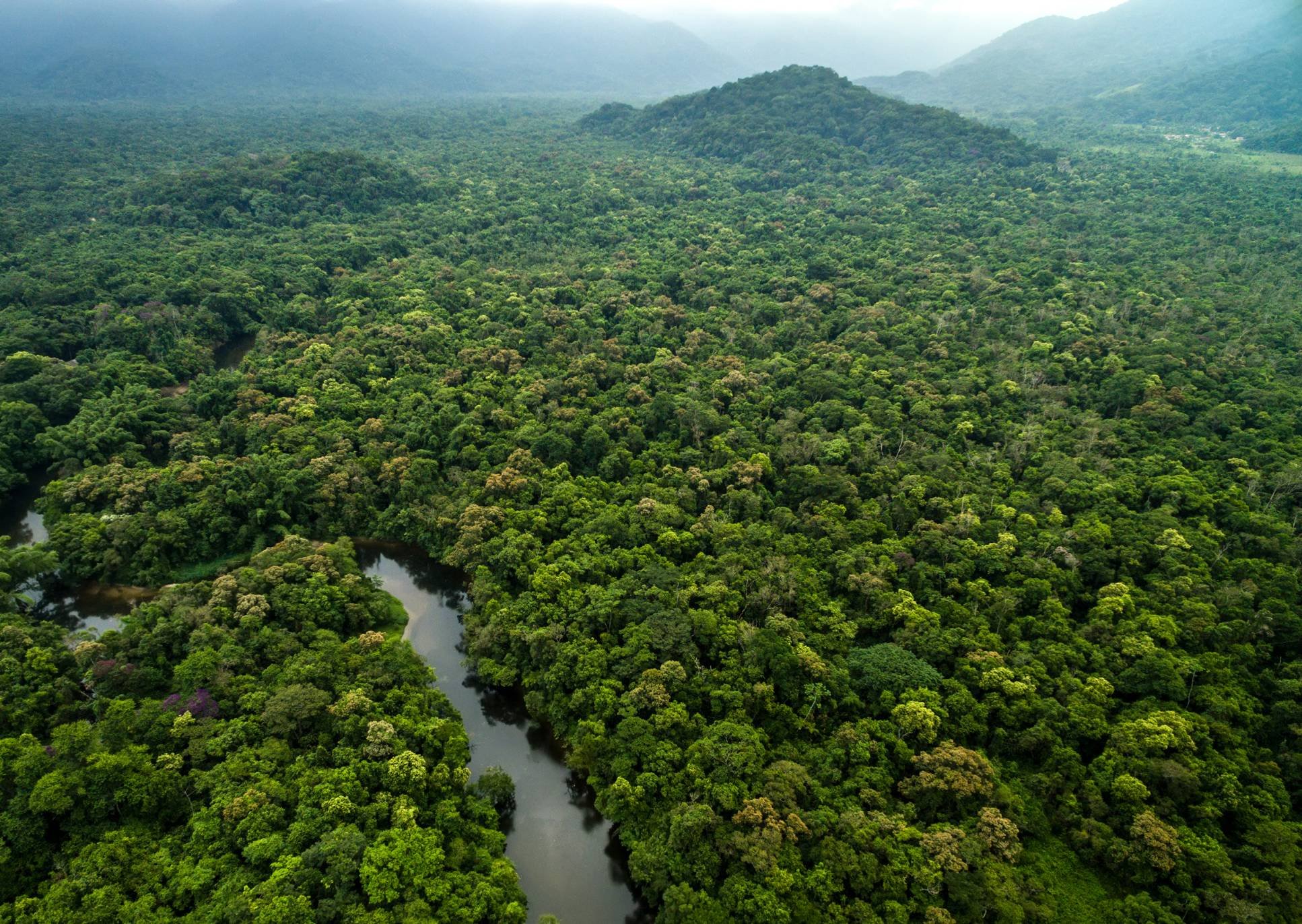 Estancia de 5 días en la Amazonía, en la magnífica reserva de Cuyabeno. - Senderismo y canoa en la selva lluviosa - Randonnée et canoë dans la forêt pluviale