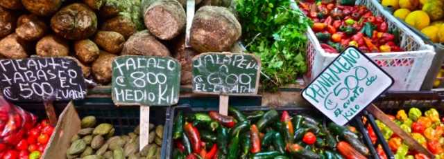 Aventura deportiva en Costa Rica: subida de adrenalina garantizada.