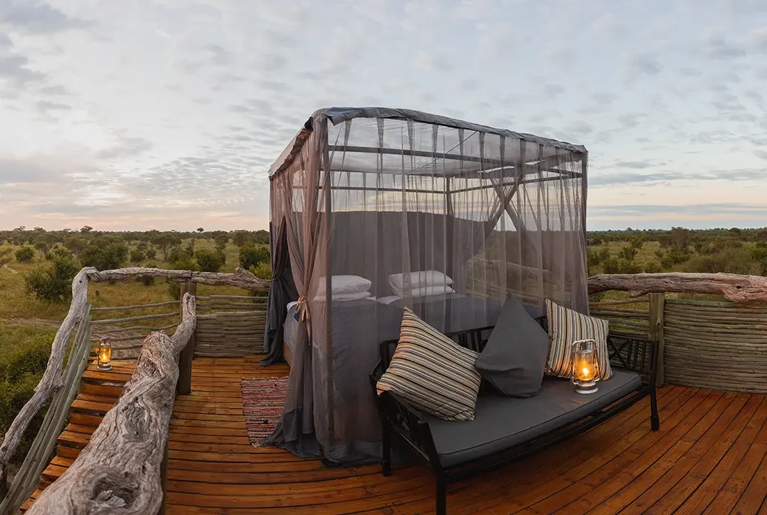 Khwai à pied - À pied à travers Khwai et nuitée aux Skybeds - Photo du jour