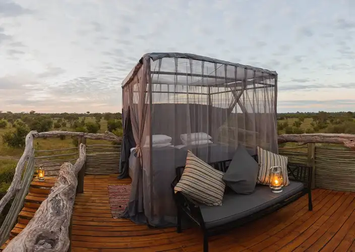 Khwai on Foot - On Foot through Khwai & Overnight at Skybeds - Photo of the day