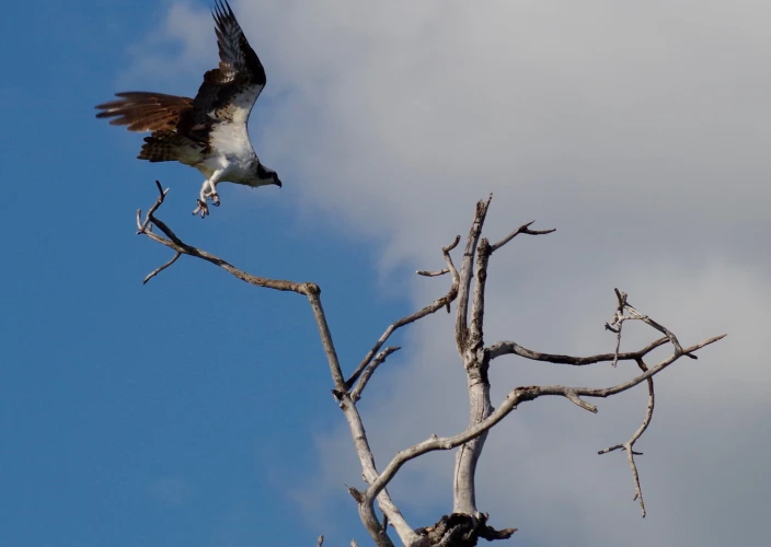 8 días en Bayahibe en la República Dominicana - Snorkel en la Isla Catalina en catamarán de lujo - Foto del día