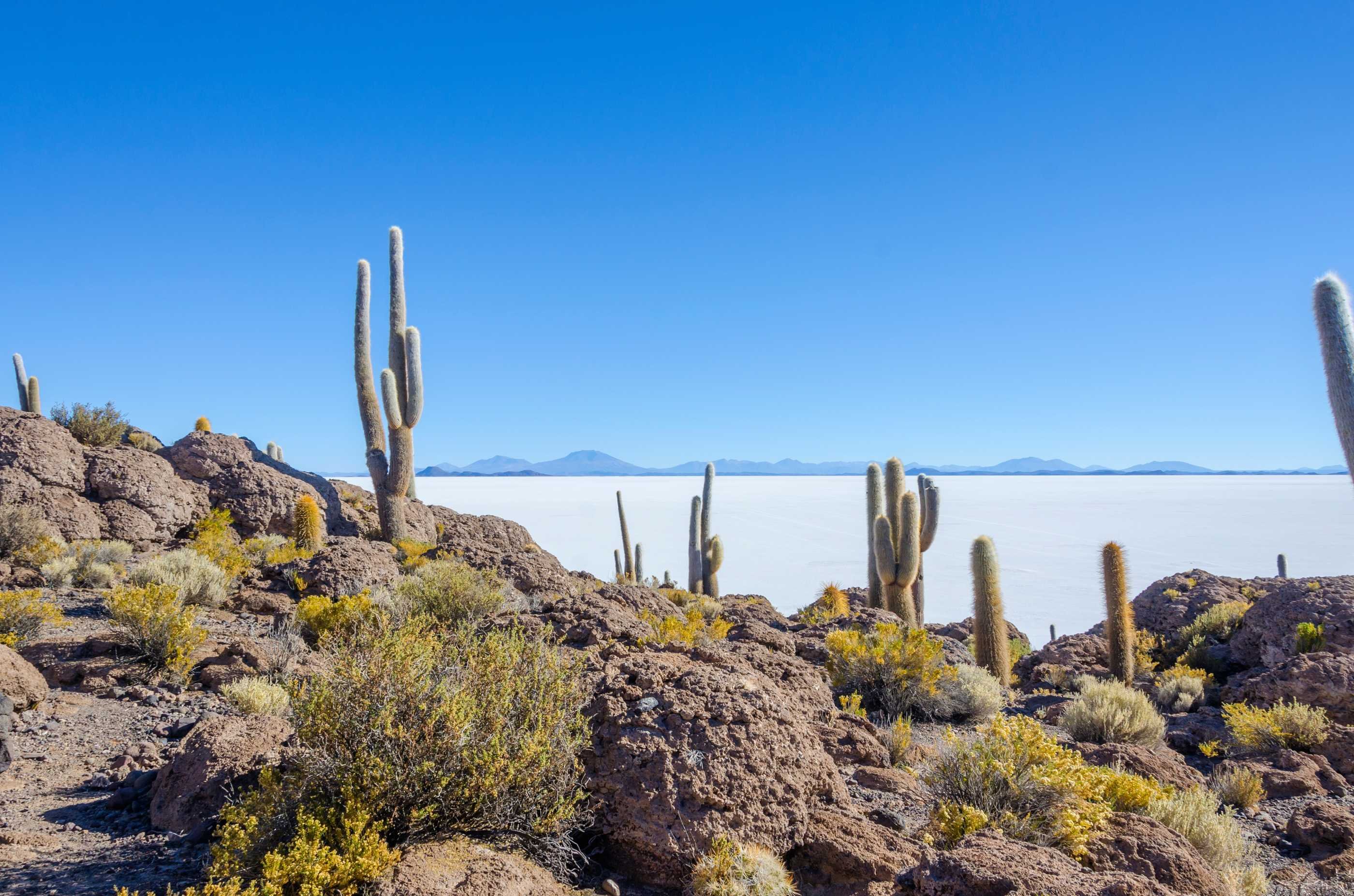 Gecombineerde Peru-Bolivia - San Pedro de Quemez, grotten van de Galaxies, Salar de Uyuni, Tahua - San Pedro de Quemez, grottes des galaxies, Salar d'Unyni, Tahua