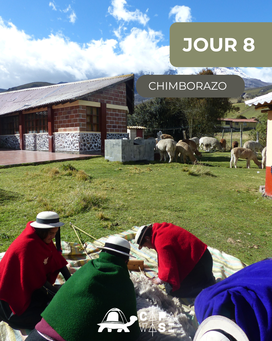 The Great Crossing of the Equator - in a small French-speaking group - WEDNESDAY - The Chimborazo colossus - Photo of the day