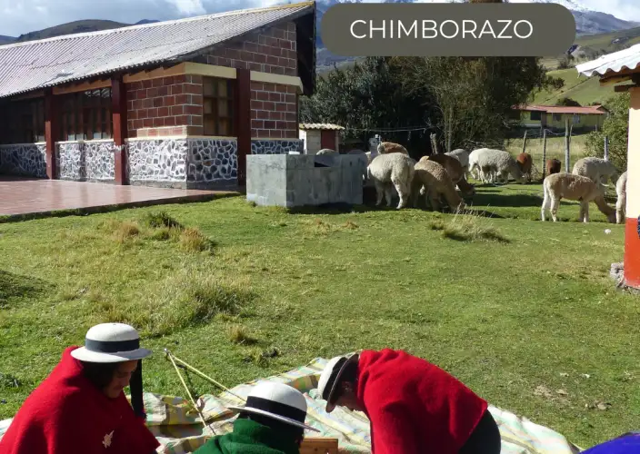 The Great Crossing of the Equator - in a small French-speaking group - WEDNESDAY - The Chimborazo colossus - Photo of the day
