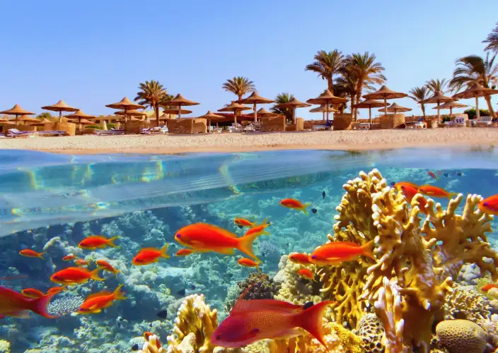 En el corazón de los esplendores de Egipto - Continuación de la estancia balnearia - Foto del día