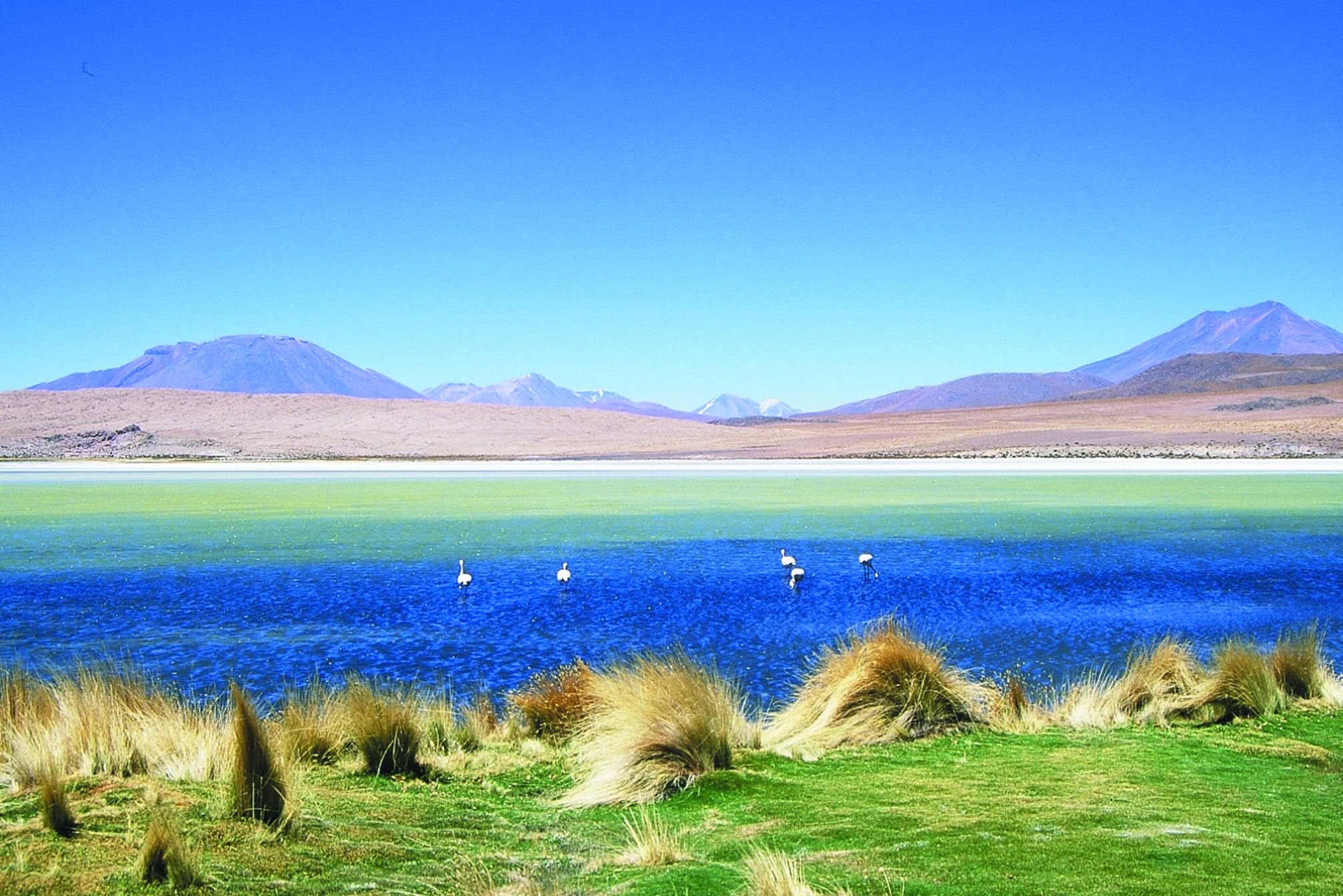 Gecombineerde Peru-Bolivia - Hotel del Desierto, 1001 Lagunes, San Pedro de Quemez - Hôtel del Desierto, 1001 Lagunes, San Pedro de Quemez