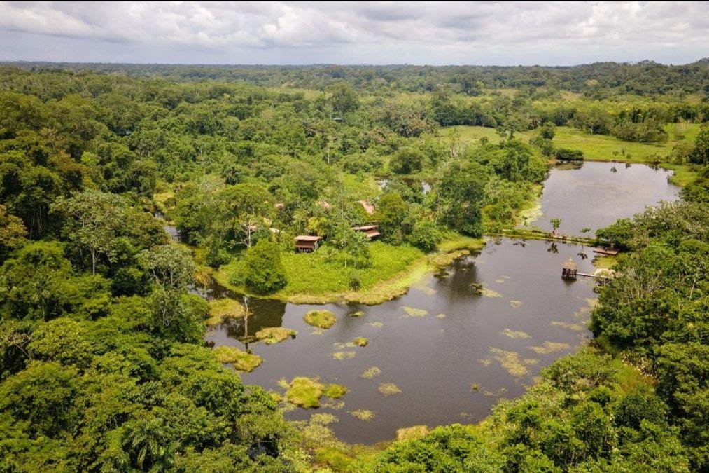 Von der Karibikküste bis zum Pazifik von Costa Rica. - Fauna und Flora - Faune et flore
