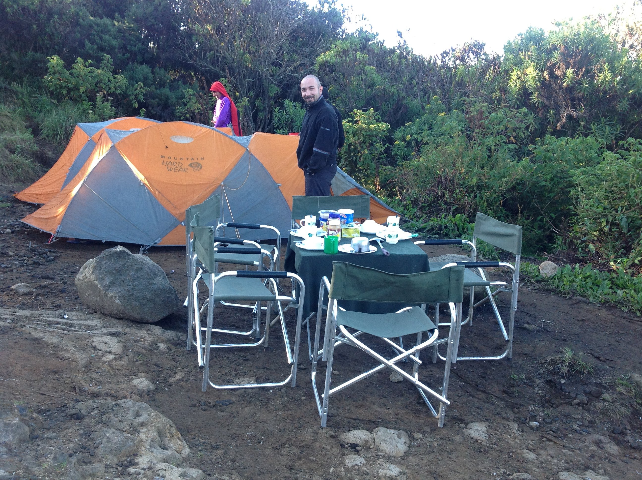 8 Days Mount Kilimanjaro Climbing Lemosho Route - Arusha – Lemosho Gate (2,385m) – Big Tree Camp (2,780m) - Photo of the day
