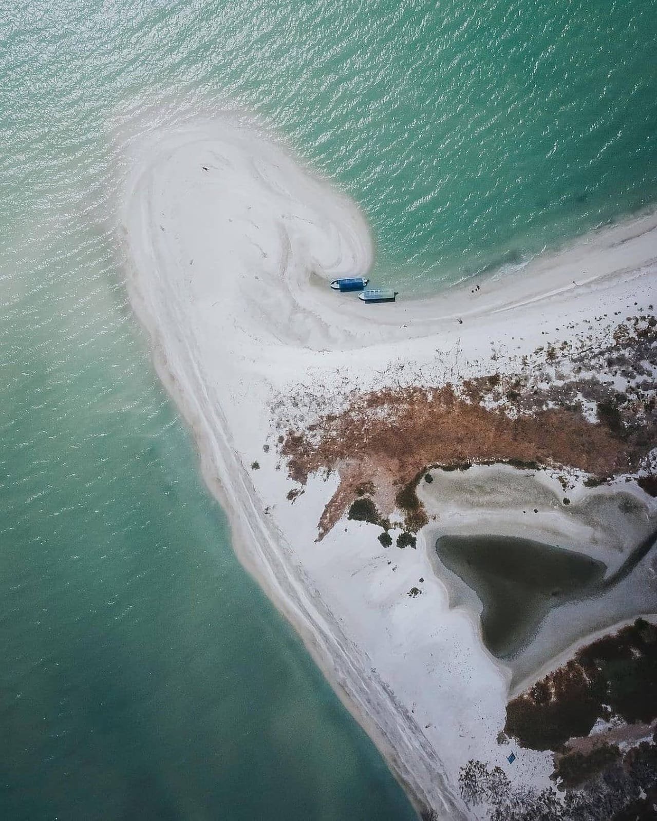 L’ANELLO DELLO YUCATÁN☀️ - Incontro con i delfini & la città di Campeche - Foto del giorno