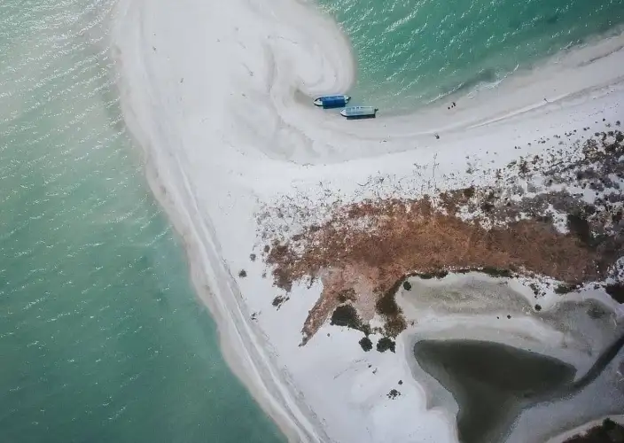L’ANELLO DELLO YUCATÁN☀️ - Incontro con i delfini & la città di Campeche - Foto del giorno