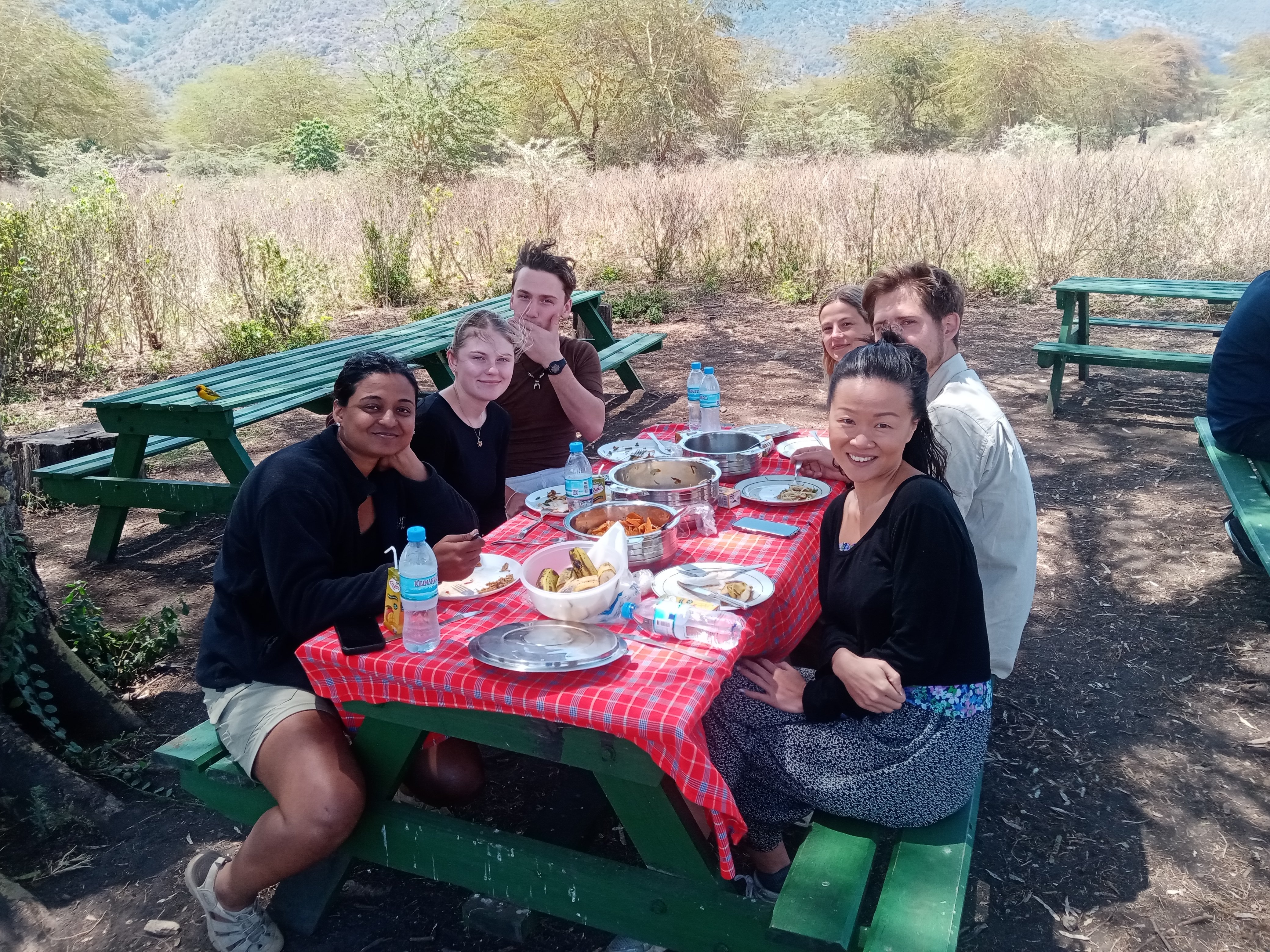 10-Day Private Tanzania Lodge Safari for Two - Serengeti - Ndutu - Photo of the day