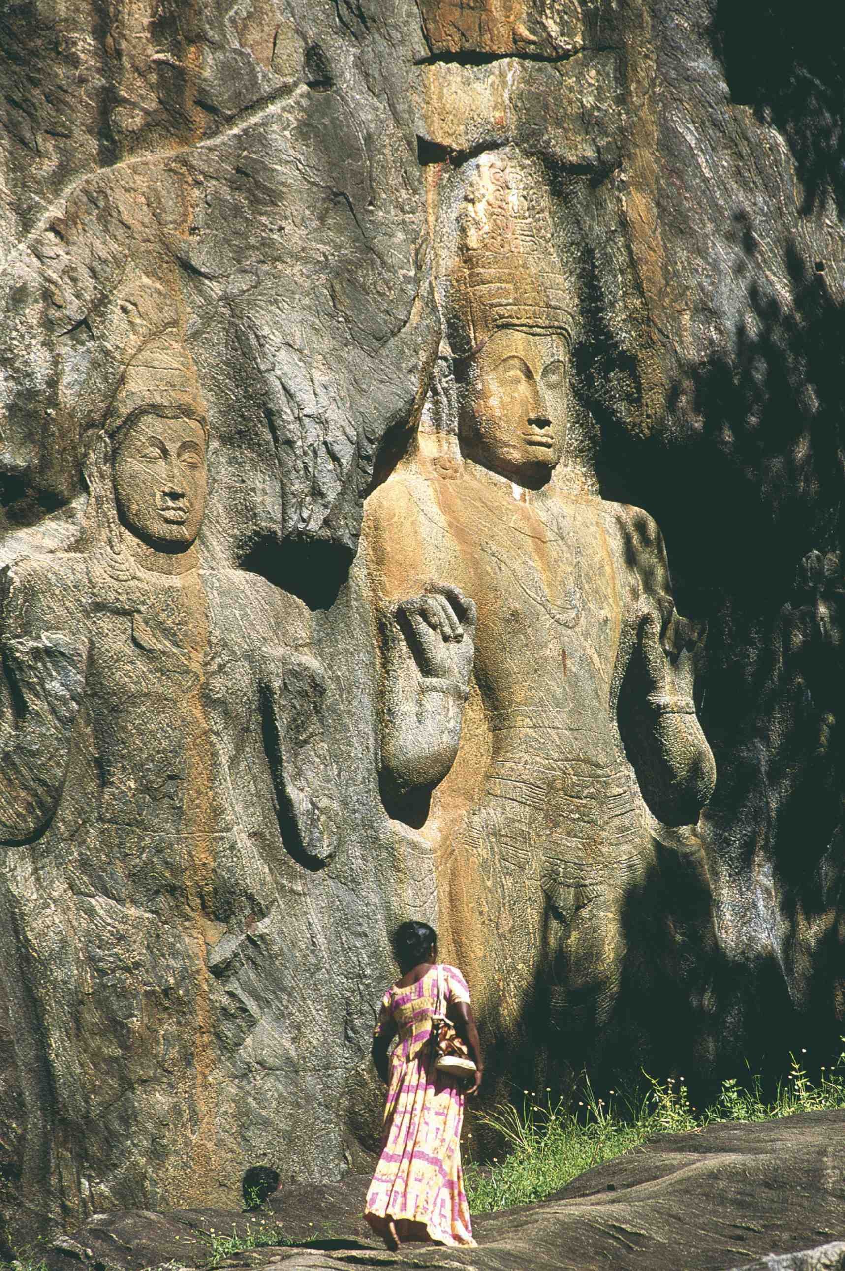 Well-being, relaxation and culture stay - Safari in Udawalawe - Haputale - Udawalawe - Safari à Udawalawe - Haputale - Udawalawe