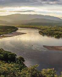 From the Caribbean to the river: a historical journey through Colombia - Gambote (Palenque) – Calamar - https://colombia.travel/es/macondo-colombia/tierra-colombiana/experiencias-turisticas-rio-magdalena-colombia