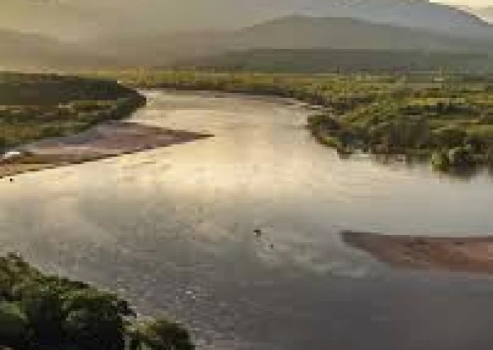 Des Caraïbes au fleuve : un voyage historique à travers la Colombie - Gambote (Palenque) – Calamar - https://colombia.travel/es/macondo-colombia/tierra-colombiana/experiencias-turisticas-rio-magdalena-colombia