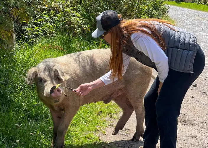 Cayambe Cóndor Express - Día 7 : Día libre - Photo du jour