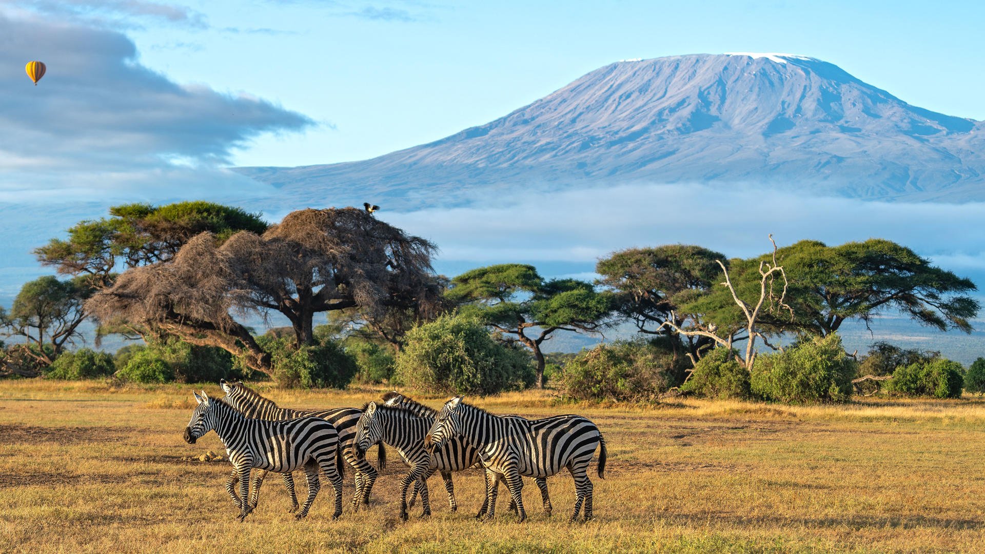 Classic 8-day safari in Kenya - Lake Naivasha - Amboseli National Park - Foto del giorno