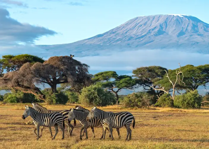 Classic 8-day safari in Kenya - Lake Naivasha - Amboseli National Park - Foto del giorno